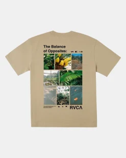 RVCA Tees / Tanks>TEXTBOOK TEE